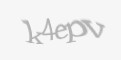 Захисний код