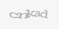 Захисний код