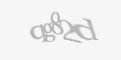 Захисний код