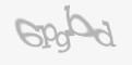 Захисний код
